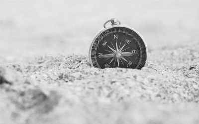 Helping You Navigate What Matters Most